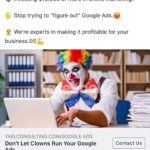 Yael Consulting - Clowns