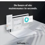 GoDaddy Pro - Website maintenance