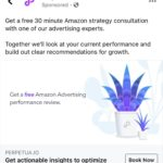 Perpetua - Amazon advertising