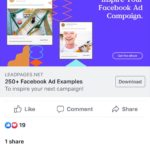 Leadpages 250 FB Ads