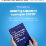 ConvertFlow - Lead magnet ebook