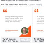 WP Tangerine - WordPress service