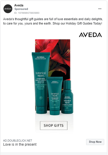 ad-fb-aveda-holiday-ad.jpg