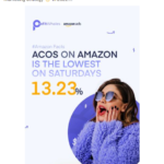 Profit Whales-Annual Amazon Report-Download